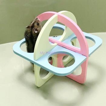 Small Pet Climbing Fitness Toy