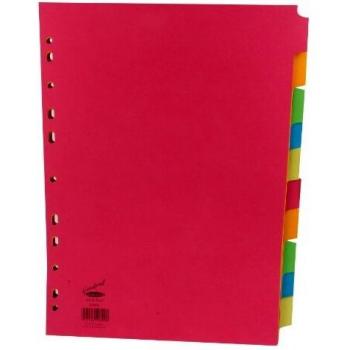 50899 Concord Bright Subject Organizer – 10 Card Set