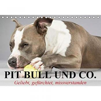 Pit Bull und Co.