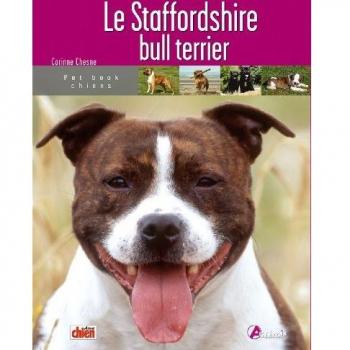 Le staffordshire bull terrier