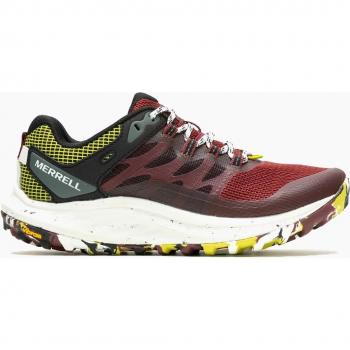 Chaussure de Randonnée Femme Merrell Antora 3