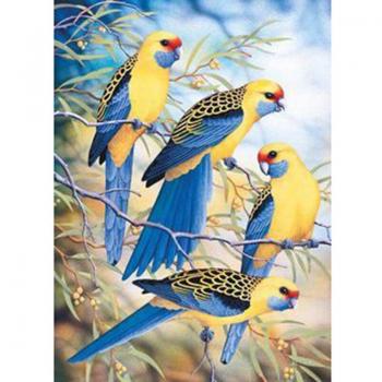 Bordado de Pájaro Diamante 20X30cm