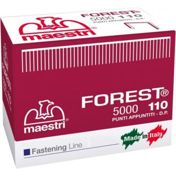 Punti 110 Maestri – 5000 Unità