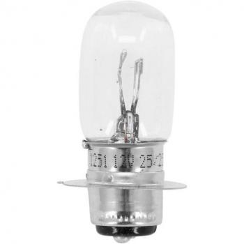 Flosser 25W Standaardlamp – P15D