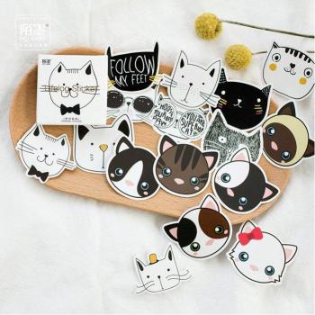 Colección Gato Vinyl para PC y MacBook