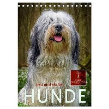 Tischkalender 2024 Hunde