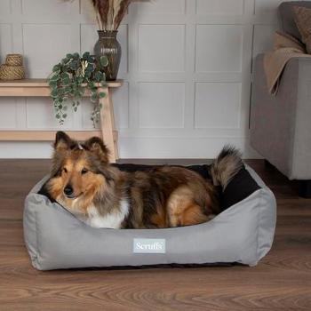 Scruffs Expedition Pet Bed