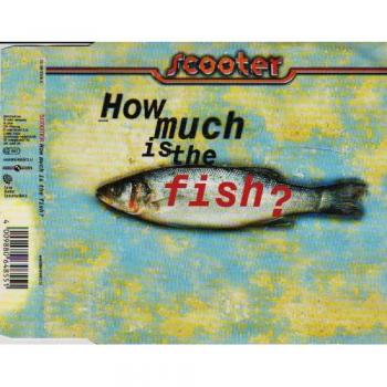Preisfrage: Wie viel kostet der Fisch?
