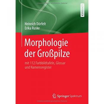Morphologie der Großpilze