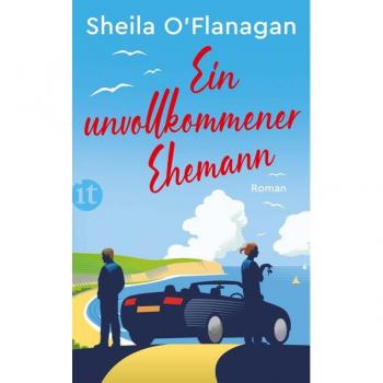 Sheila O'Flanagan Ein Unvollkommener Ehemann: Roman (Insel Taschenbuch)