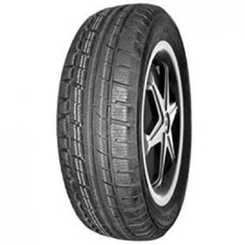 SPTV 295/35 R21 107V XL Performance