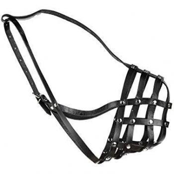 Julius-K9 Leather Muzzle