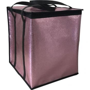 Large Insulated Lunch Bag
