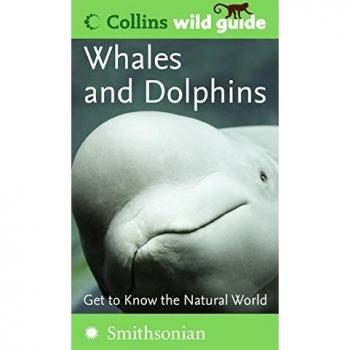 Whales and Dolphins