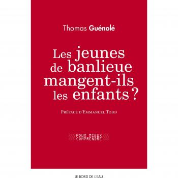 Les Jeunes de Banlieue Mangent-Ils les Enfants ?
