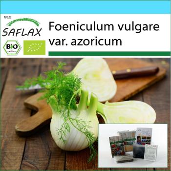 Sconto di Seta SAFLAX Finocchio Fiorentino 100 Semi – Set Biologico