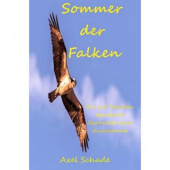 Sommer der Falken