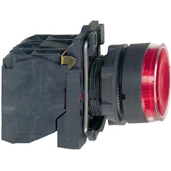 Pulsante di Controllo Illuminato Schneider 600 V 6 A