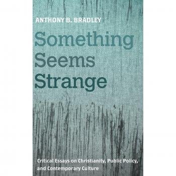 Something Seems Strange: Critical Essays on Christianity, Public Policy, and Contemporary Culture