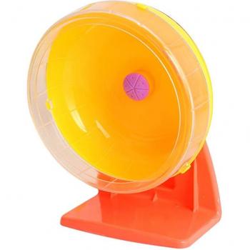 Roue colorée pour animaux de compagnie