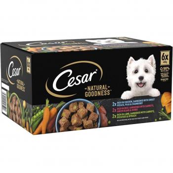 Cesar Natural Goodness Turkey and Vegetable Stew for Adult Dogs
