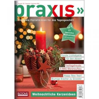 PRAXIS Nr. 120