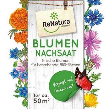 Greenfield ReNatura® Blumen Blumennachsaat für die Auffrischung von Blühflächen reicht für ca. 50