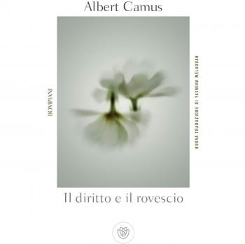 Il diritto e il rovescio
