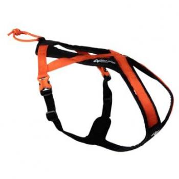 Non‑Stop Hundeshortcut–Geschirr Rush in Schwarz/Orange