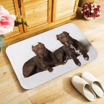 Alfombra de Entrada con Perros Bull Terrier Staffordshire 40x60cm