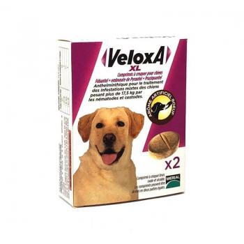 Veloxa chien XL 2 comprimés à croquer pour le vermifuge et l'antiparasitaire