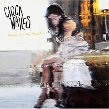 Stuck in My Teeth [VINYL]