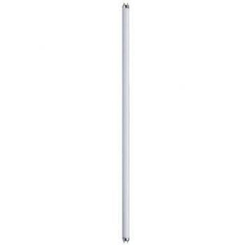 Paulmann Leuchtmittel, Röhre (G13, 30 W, 2400 lm, 1 x, G)