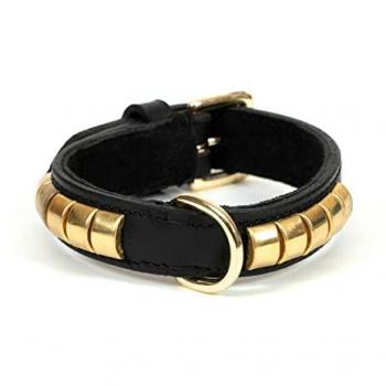 Collare Sportivo per Cani Gloria Duna Nero Oro (60 x 2,5 cm)