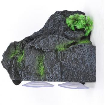 Habitat Réservoir Tortoise Simulation