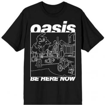 Oasis