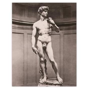 David (Michelangelo) – Classic Grey Wall Art Poster