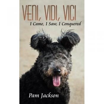 Veni, Vidi, Vici: I Came, I Saw, I Conquered
