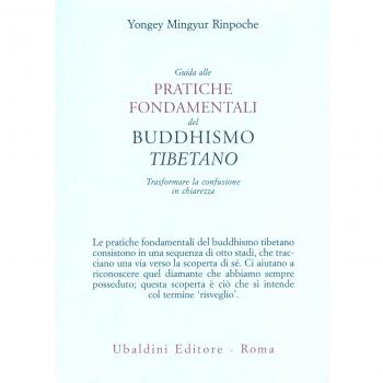 Guida alle pratiche fondamentali del buddhismo tibetano. Trasformare la confusione in chiarezza