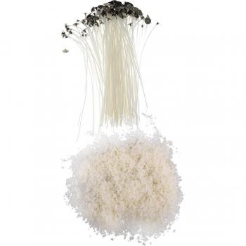 Natural Soy Wax (500g) and Pre-Waxed Wicks (20cm) for Candle Making