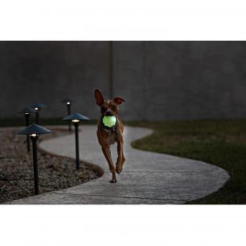 Jolly Pets Jolly Jumper Dog Ball