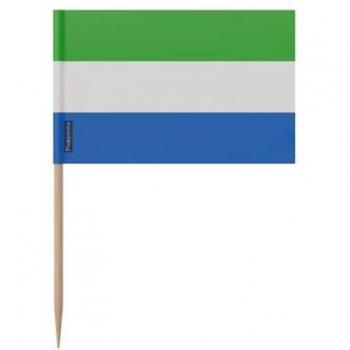 Multicolored Sierra Leone Brush Bundle