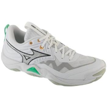 Mizuno Handball Elite Wave Momentum – White, Unisex, EU47