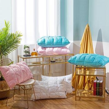 48x74cm Down-Proof Pillow