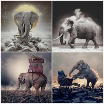 Elefante 5D Pintura de Diamante