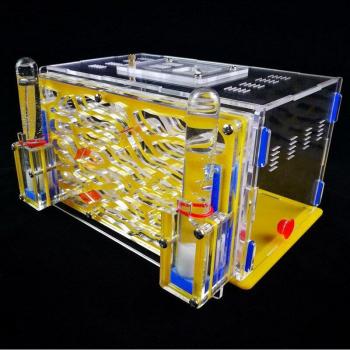 Big Ant Habitat DIY Kit