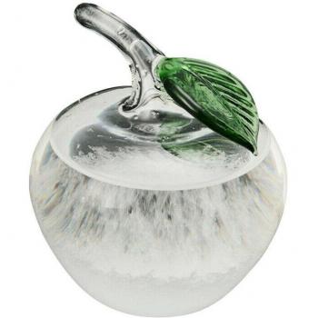 Storm Glass Bottle with Apple Design