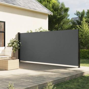 VidaXL Outdoor Retractable Awning Anthracite 160x500 cm