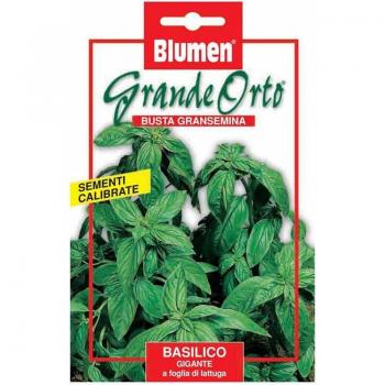 Semi basilico maxi orto Blumen