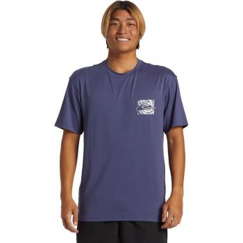 Maglietta Quiksilver Everyday Surf Tee blu